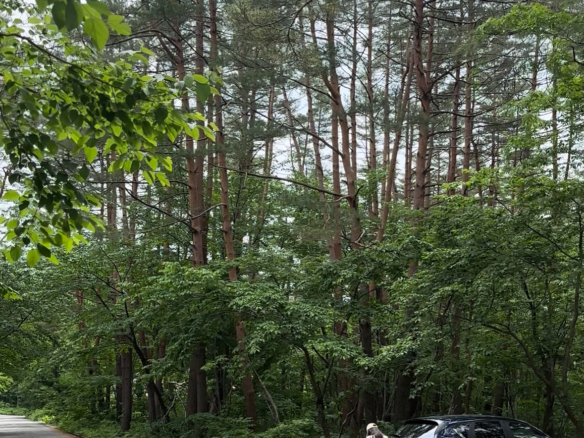 Aerial view of Meitetsu Villa Estate – 2,252 sqm freehold development land in Hakuba, Nagano, Japan