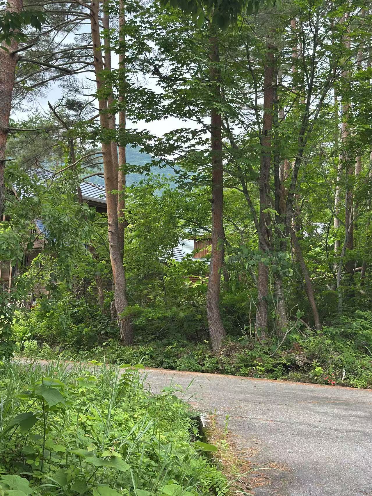 Aerial view of Meitetsu Villa Estate – 2,252 sqm freehold development land in Hakuba, Nagano, Japan