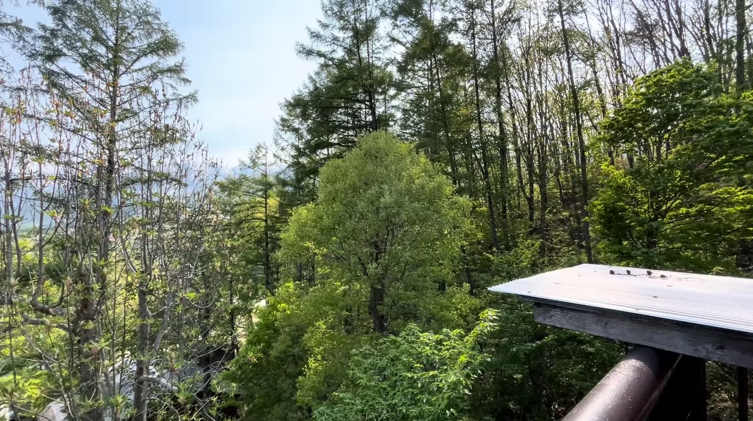Corner of deck with trees and distant rooflines
