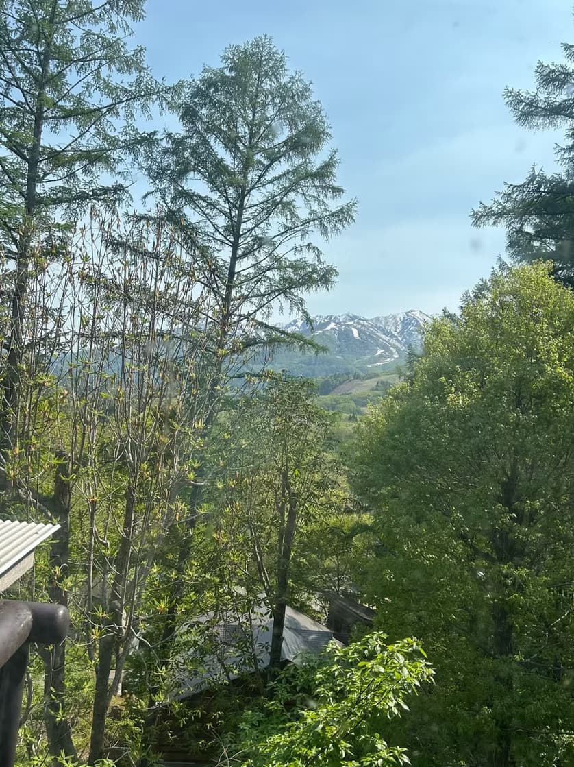 View of Hakuba mountains through trees